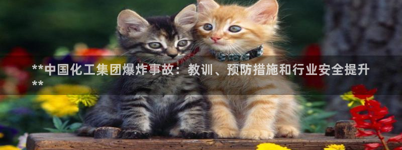 球盟会网页版登陆