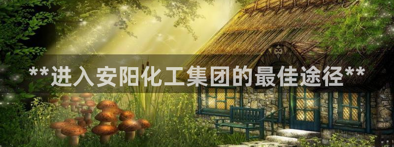 球盟会进不去吗：**进入安阳化工集团的最佳途径**