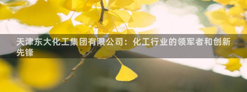 球盟会提款支付宝怎么样：天津东大化工集团有限公司：化工行业的