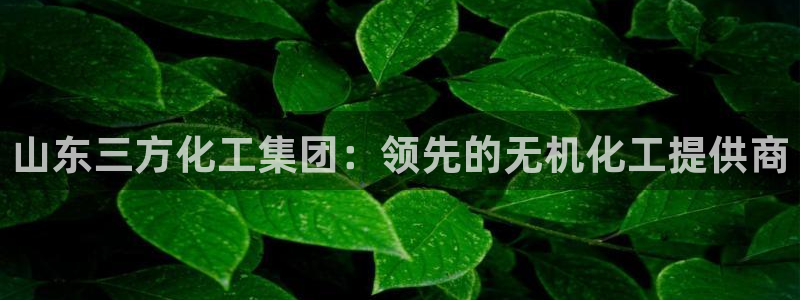 球盟会下载最新版：山东三方化工集团：领先的无机化工提供商