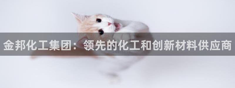 球盟会网址多少：金邦化工集团：领先的化工和创新材料供应商
