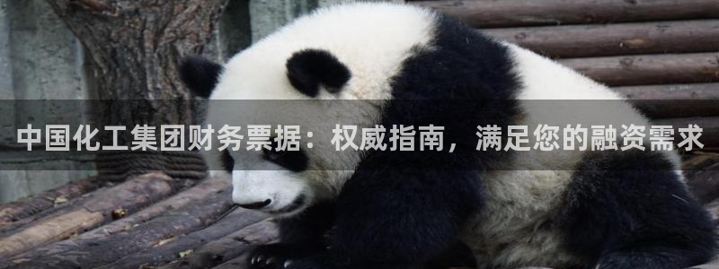 球盟会封禁：中国化工集团财务票据：权威指南，满足您的融资需求