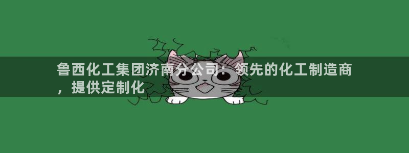 球盟会类似的网站：鲁西化工集团济南分公司：领先的化工制造商
