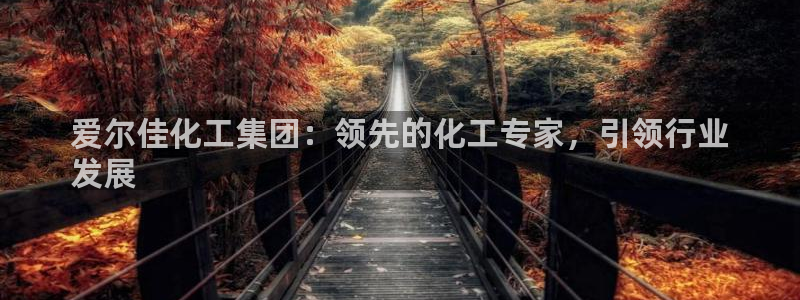 球盟会官方下载：爱尔佳化工集团：领先的化工专家，引领行业
发