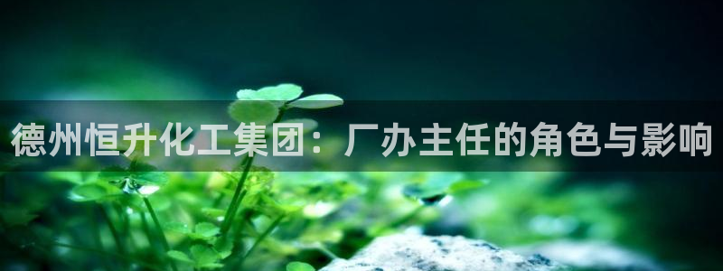 球盟会app最新地址在哪里：德州恒升化工集团：厂办主任的角色