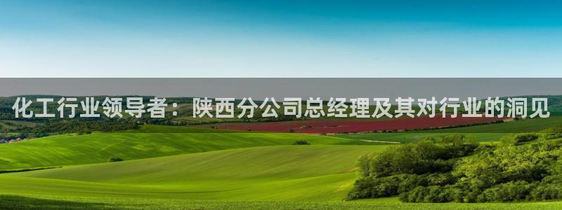 球盟会可以提现么：化工行业领导者：陕西分公司总经理及其对行业
