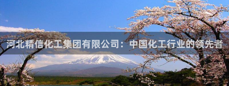 球盟会中国网页登录：河北精信化工集团有限公司：中国化工行业的