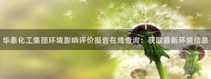 球盟会登陆中心：华泰化工集团环境影响评价报告在线查询：获取最