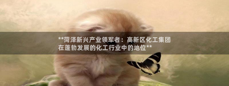 球盟会游戏：**菏泽新兴产业领军者：高新区化工集团
在蓬勃发
