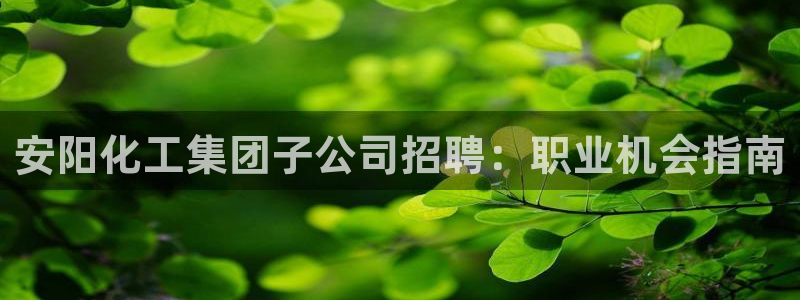 球盟会黑台