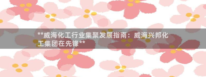 球盟会优惠券：**威海化工行业集聚发展指南：威海兴邦化
工集