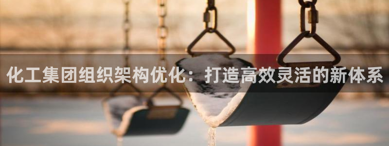 球盟会APP下载：化工集团组织架构优化：打造高效灵活的新体系