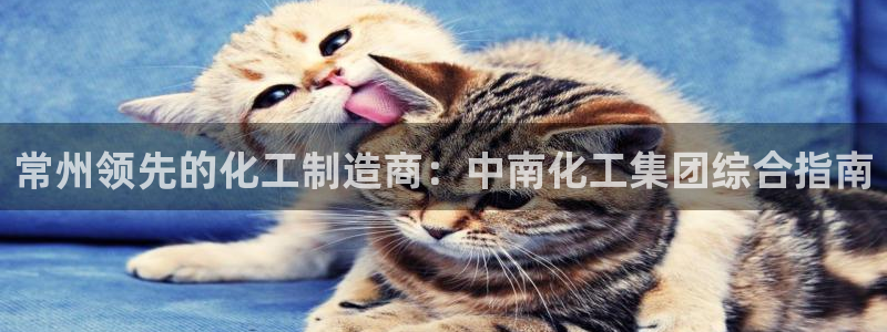 球盟会优惠券：常州领先的化工制造商：中南化工集团综合指南