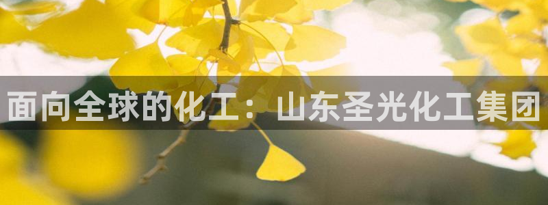 球盟会黑款吗还是白款：面向全球的化工：山东圣光化工集团