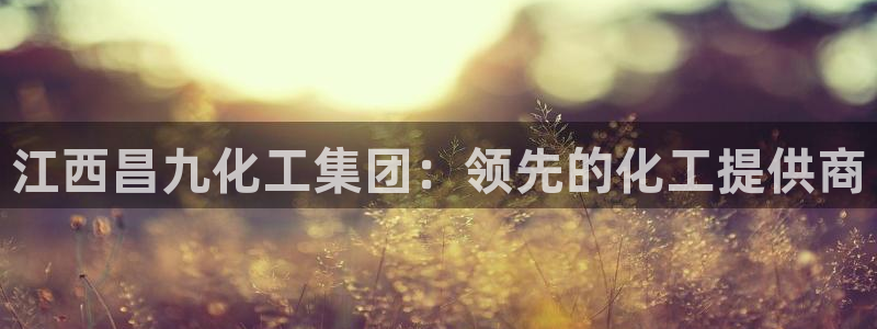 球盟会和中欧：江西昌九化工集团：领先的化工提供商