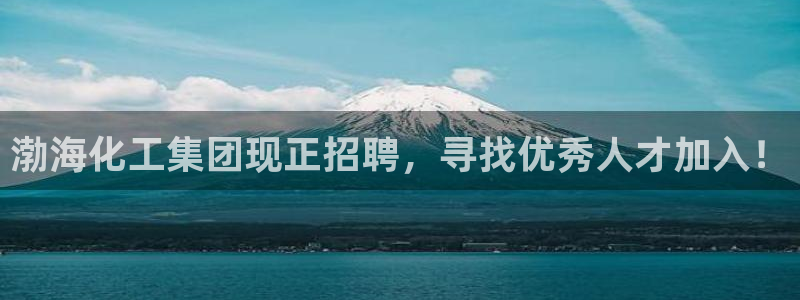 球盟会能提现吗是真的吗：渤海化工集团现正招聘，寻找优秀人才加