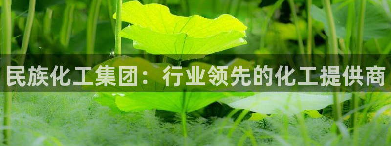 球盟会qmh网址：民族化工集团：行业领先的化工提供商