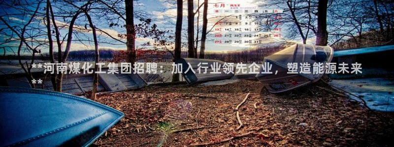 球盟会几点玩合适：**河南煤化工集团招聘：加入行业领先企业，