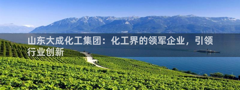 球盟会官方登录平台入口：山东大成化工集团：化工界的领军企业，