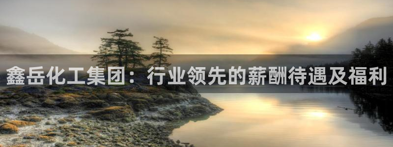 球盟会入口