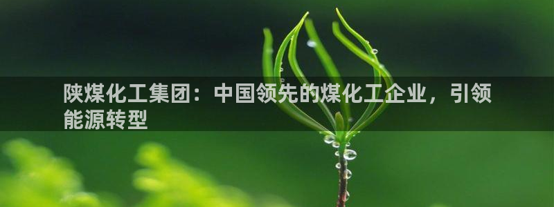 球盟会游戏几点玩合适：陕煤化工集团：中国领先的煤化工企业，引