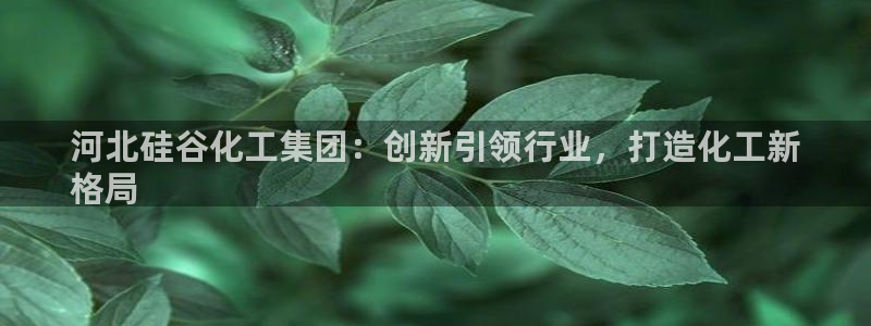 球盟会qmh电子网页版登录：河北硅谷化工集团：创新引领行业，