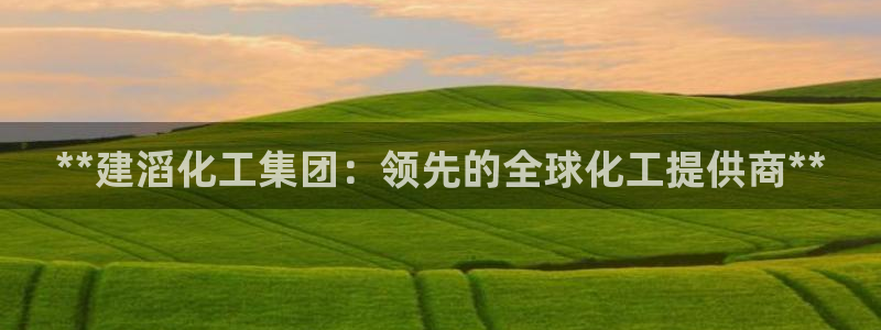 球盟会黑台子：**建滔化工集团：领先的全球化工提供商**
