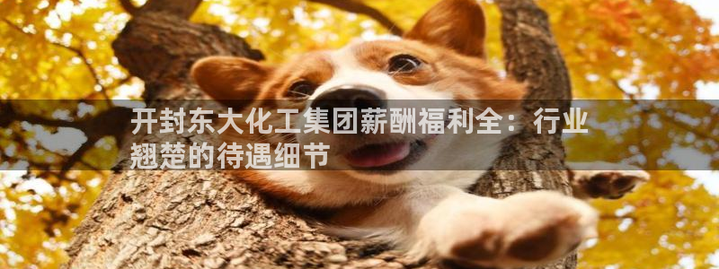 球盟会用的客服聊天是哪个软件：开封东大化工集团薪酬福利全：行