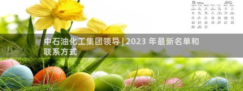 球盟会体验金球奖吗：中石油化工集团领导 | 2023 年最新