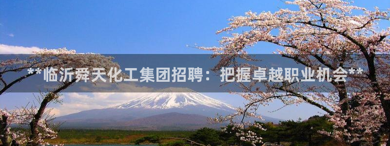 球盟会有没有黑单的球员：**临沂舜天化工集团招聘：把握卓越职