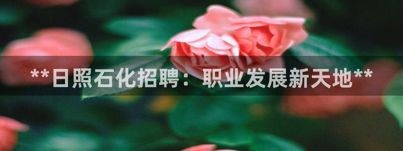 球盟会封禁：**日照石化招聘：职业发展新天地**