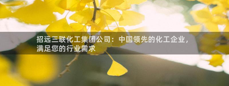 球盟会地址：招远三联化工集团公司：中国领先的化工企业，
满足