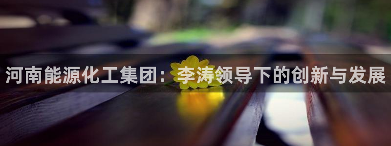球盟会官方网站：河南能源化工集团：李涛领导下的创新与发展