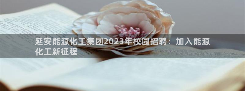 球盟会app网址多少：延安能源化工集团2023年校园招聘：加