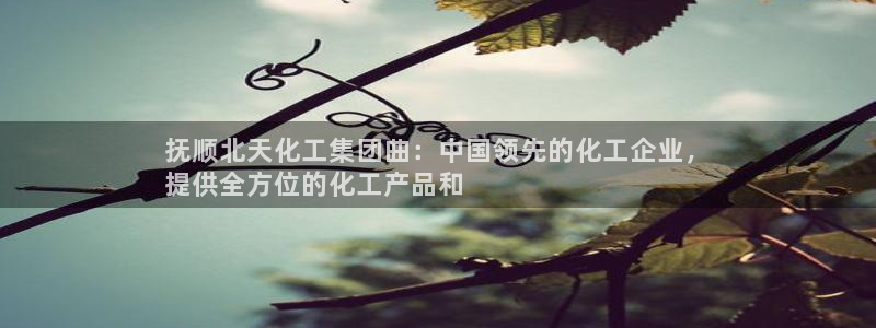 球盟会连接：抚顺北天化工集团曲：中国领先的化工企业，
提供全