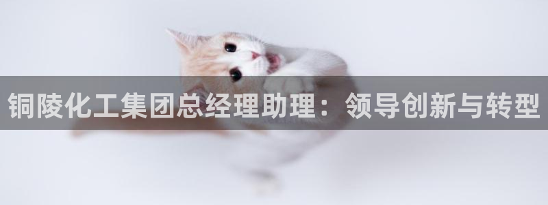 球盟会论坛