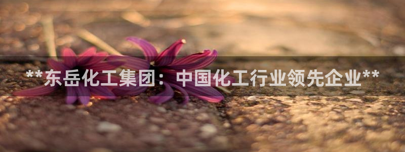 球盟会qmh：**东岳化工集团：中国化工行业领先企业**