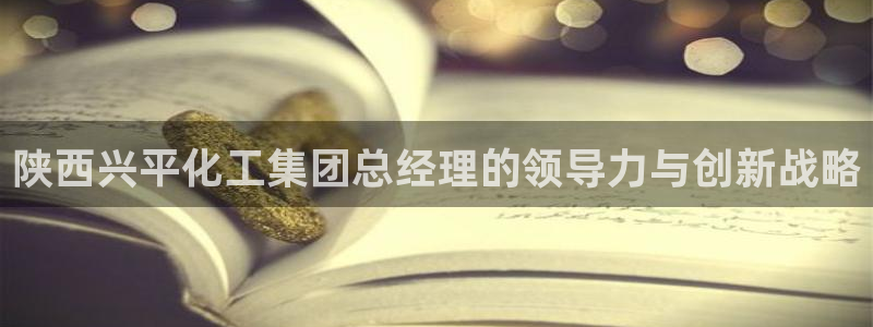 球盟会类似的网站：陕西兴平化工集团总经理的领导力与创新战略