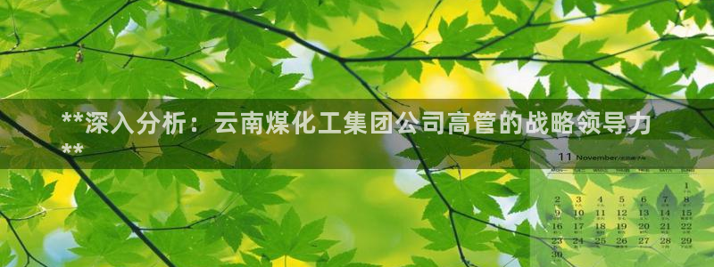 球盟会qm9：**深入分析：云南煤化工集团公司高管的战略领导