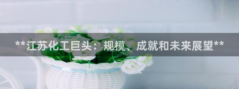 球盟会黑：**江苏化工巨头：规模、成就和未来展望**