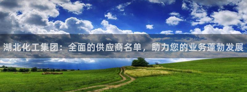 球盟会网页登录：湖北化工集团：全面的供应商名单，助力您的业务