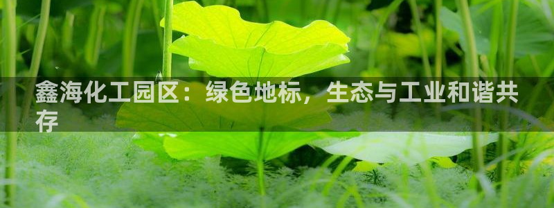 球盟会最新地址备用：鑫海化工园区：绿色地标，生态与工业和谐共