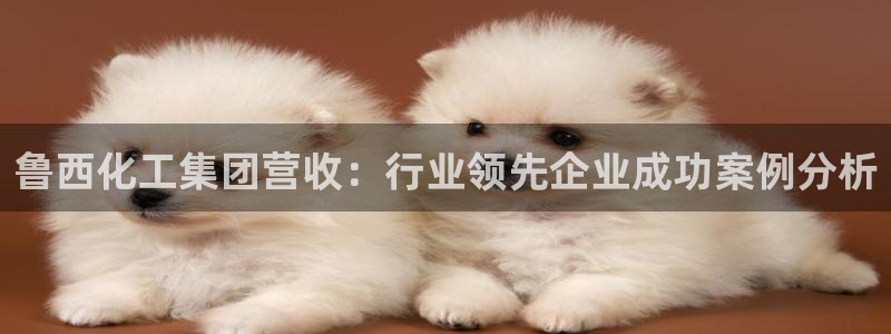 球盟会综合体育平台怎么样：鲁西化工集团营收：行业领先企业成功