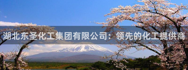 球盟会