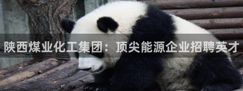 球盟会黑台子吗：陕西煤业化工集团：顶尖能源企业招聘英才