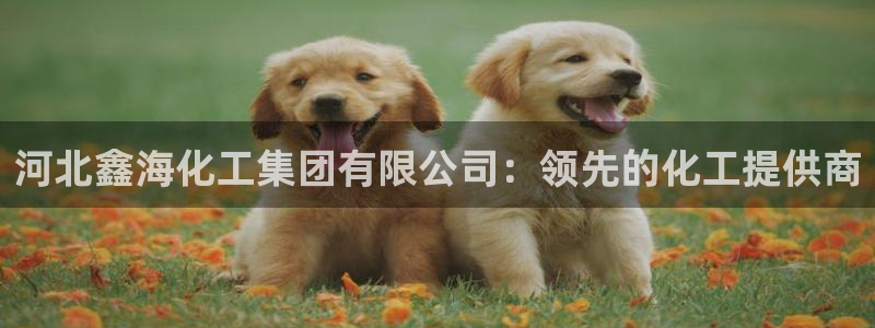 球盟会进不去球员吗：河北鑫海化工集团有限公司：领先的化工提供
