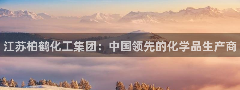 球盟会进不去球员吗：江苏柏鹤化工集团：中国领先的化学品生产商