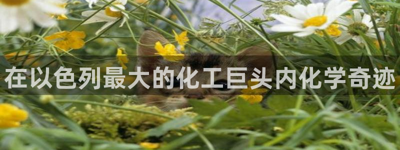 球盟会官方网站入口：在以色列最大的化工巨头内化学奇迹