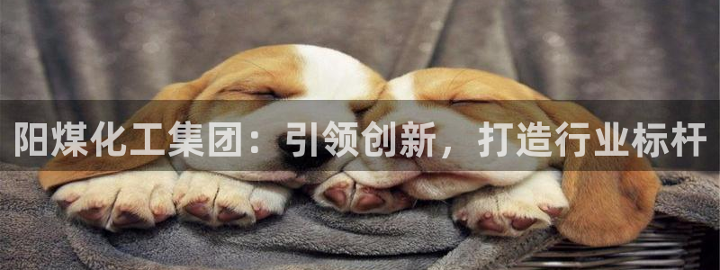 球盟会黑款吗：阳煤化工集团：引领创新，打造行业标杆