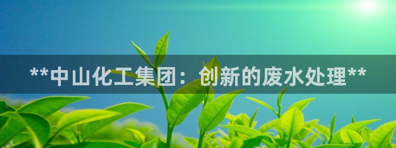 球盟会优惠码：**中山化工集团：创新的废水处理**